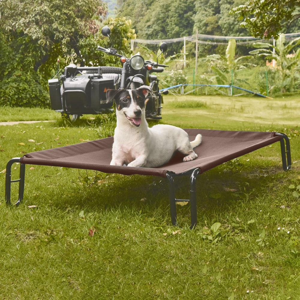 Pettycare bed supports up to 35 lbs, ideal for small dogs