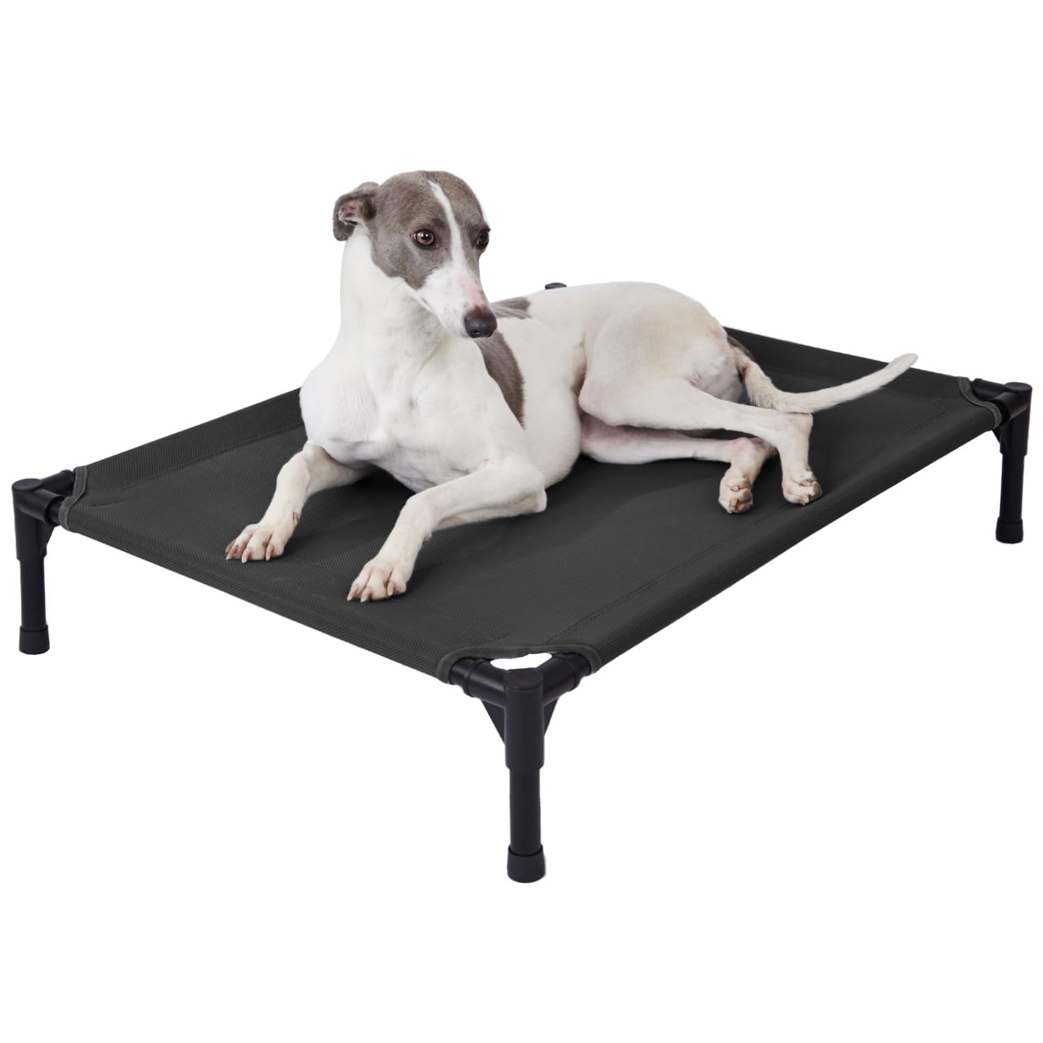 pettycare elevated dog bed assembly view demonstrates quick setup and stable frame.