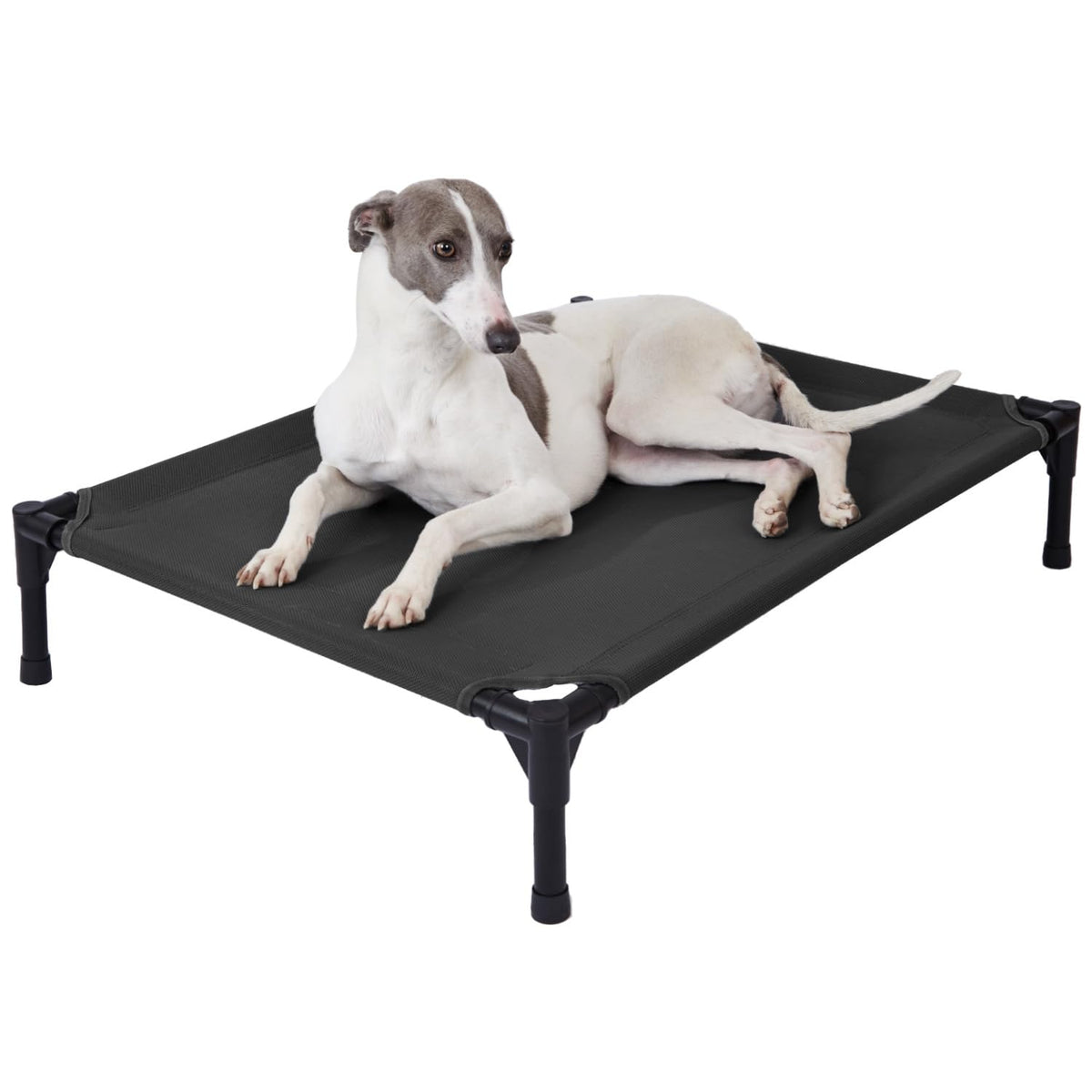 pettycare elevated dog bed assembly view demonstrates quick setup and stable frame.