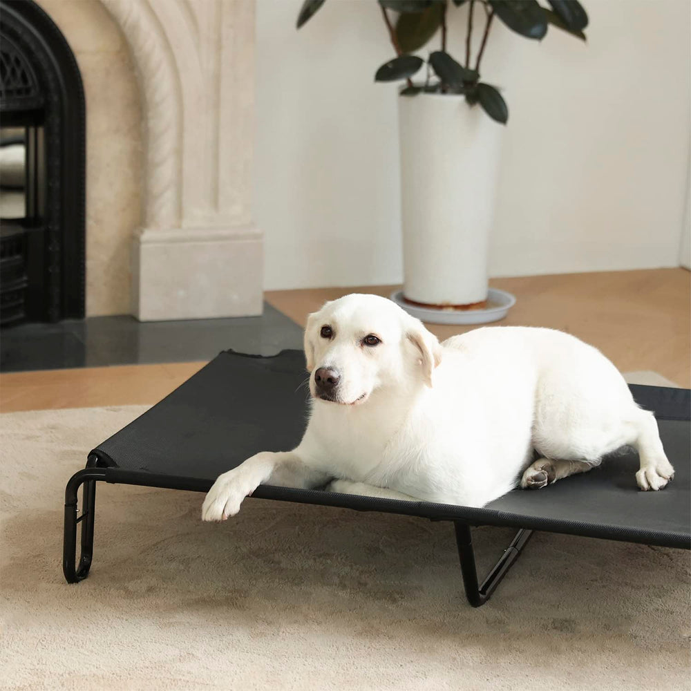 Pettycare elevated dog bed dimensions emphasize ample space for dogs up to 85 lbs.