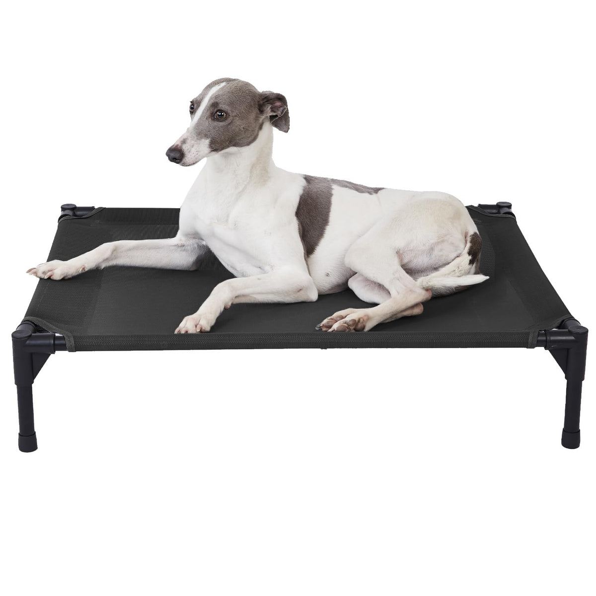 Pettycare elevated dog bed frame provides sturdy support for large dogs.