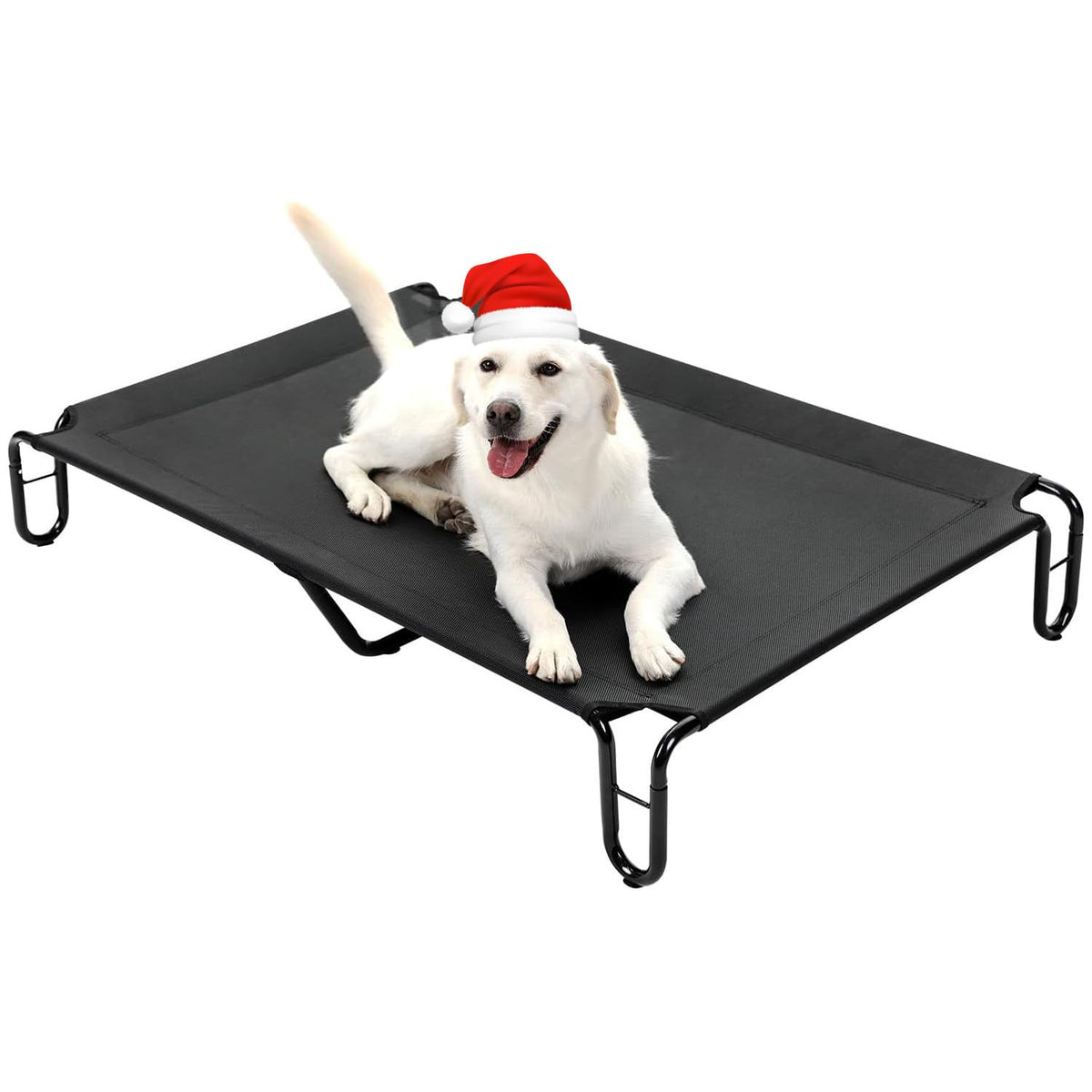 Pettycare elevated dog bed frame assembly demonstrates quick outdoor setup for pets.