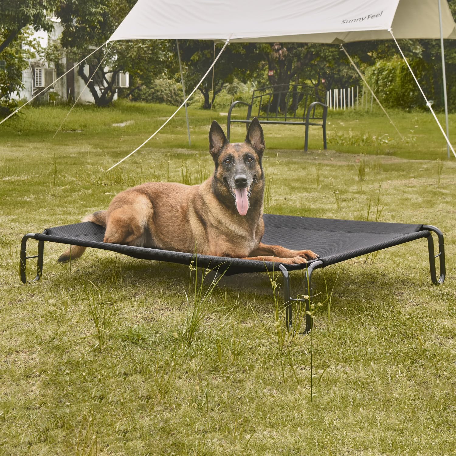 Pettycare elevated dog bed frame closeup shows powder-coated steel stability.
