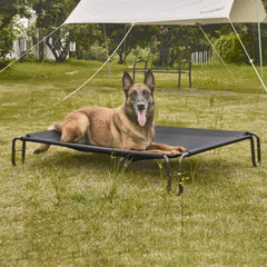 Pettycare elevated dog bed frame closeup shows powder-coated steel stability.