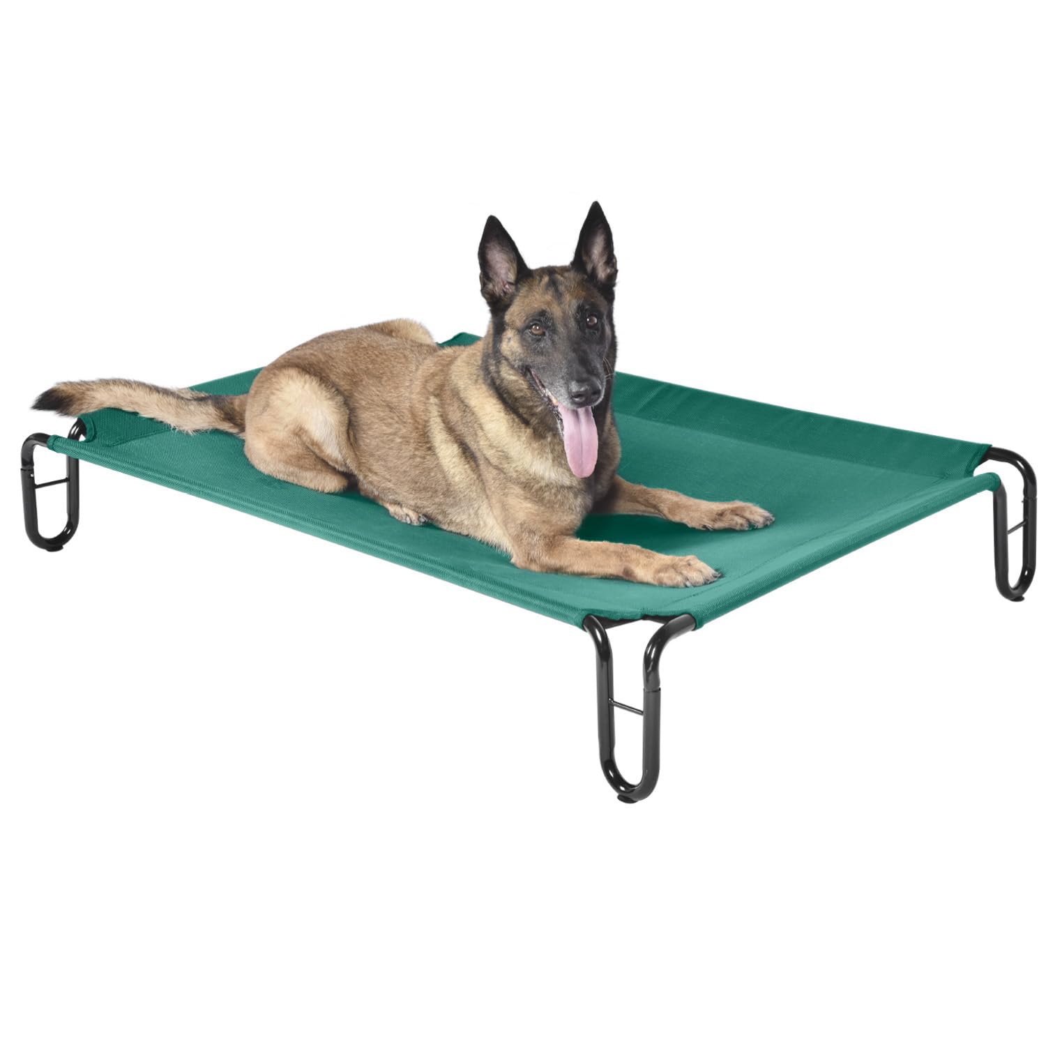 Pettycare elevated outdoor dog bed green overview for large dogs up to 65 lbs