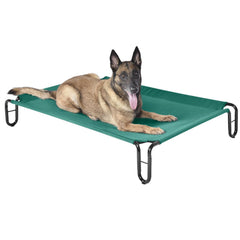 Pettycare elevated outdoor dog bed green overview for large dogs up to 65 lbs