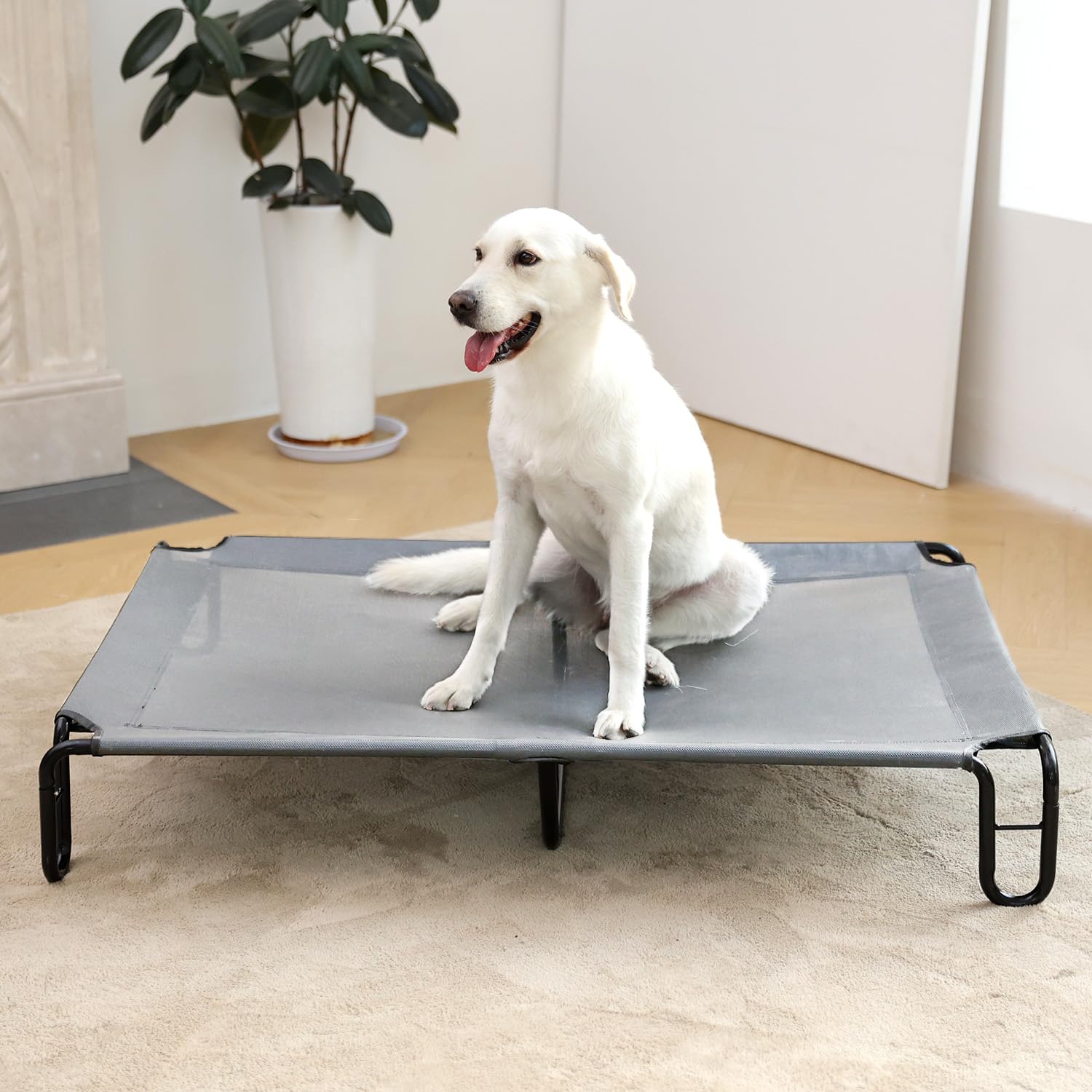 Pettycare bed portable for indoor and outdoor use.