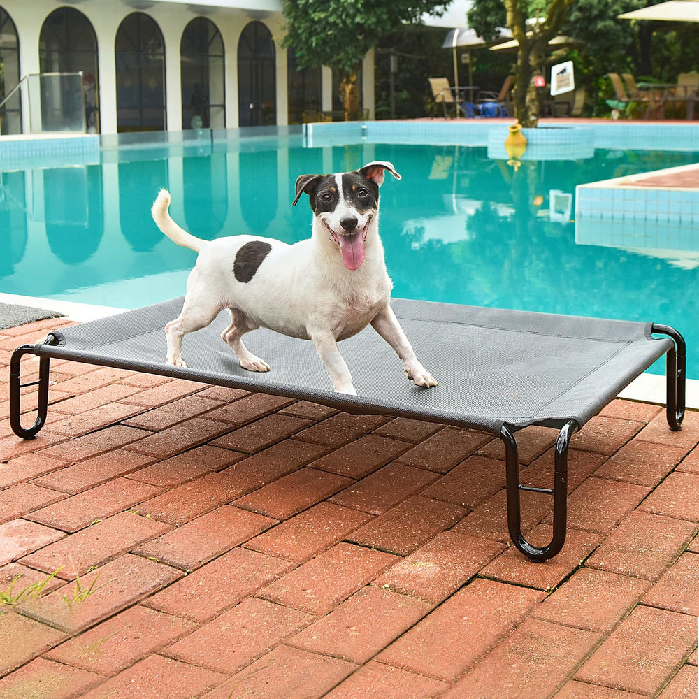 Pettycare elevated dog bed outdoor-use image highlights portability and stability