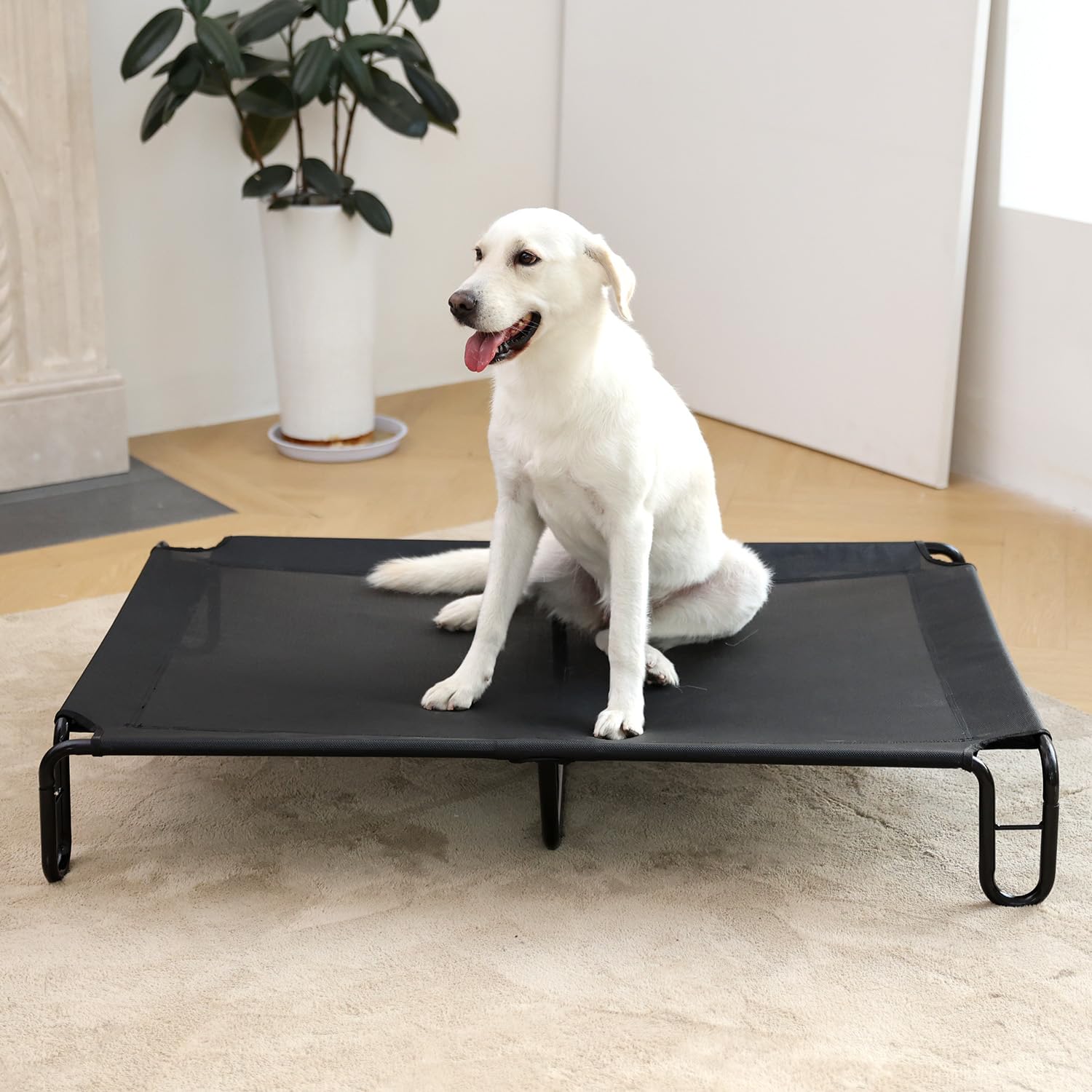 Pettycare elevated dog bed powder-coated steel frame highlights durable stability.