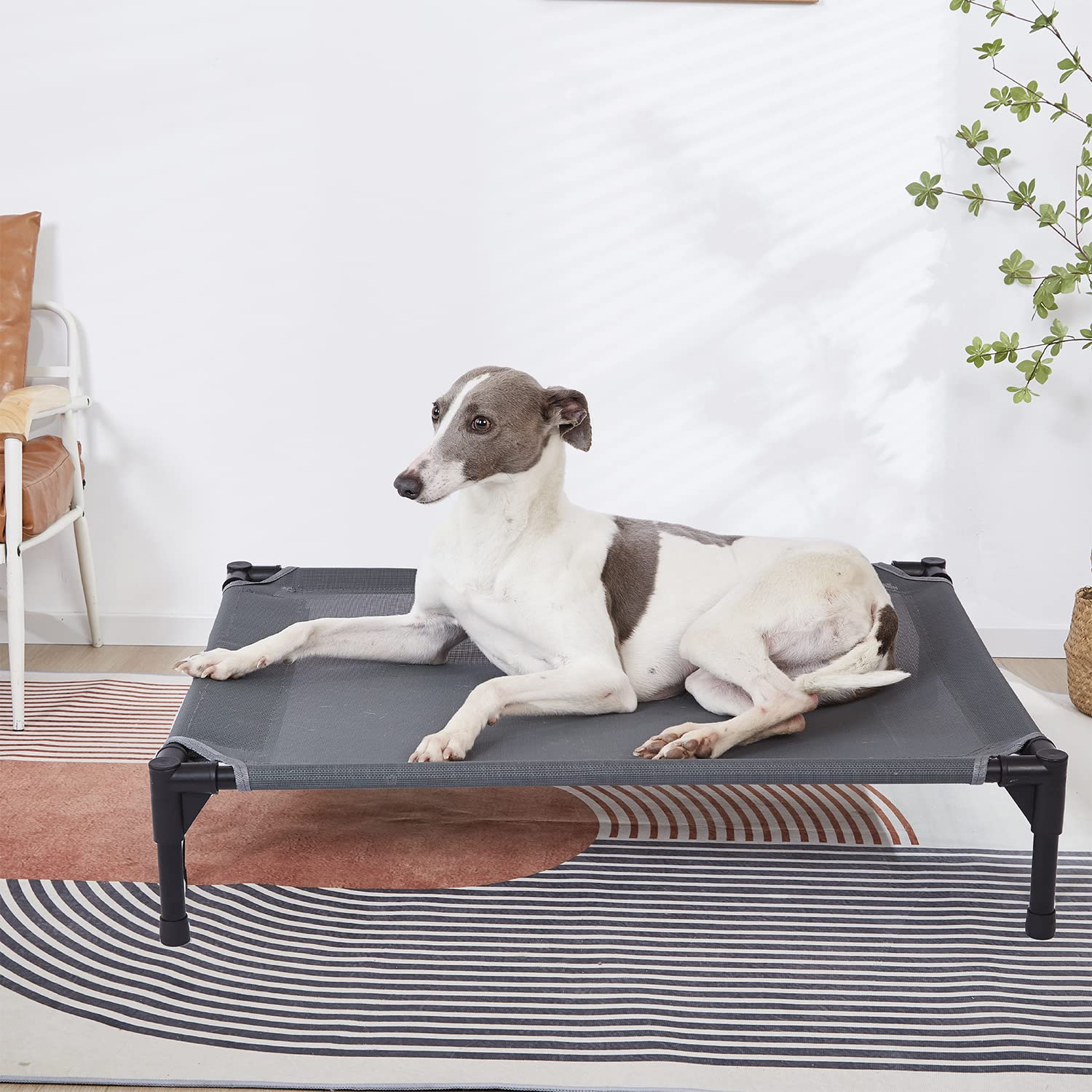 Pettycare elevated outdoor dog bed use indoors or outdoors during camping trips
