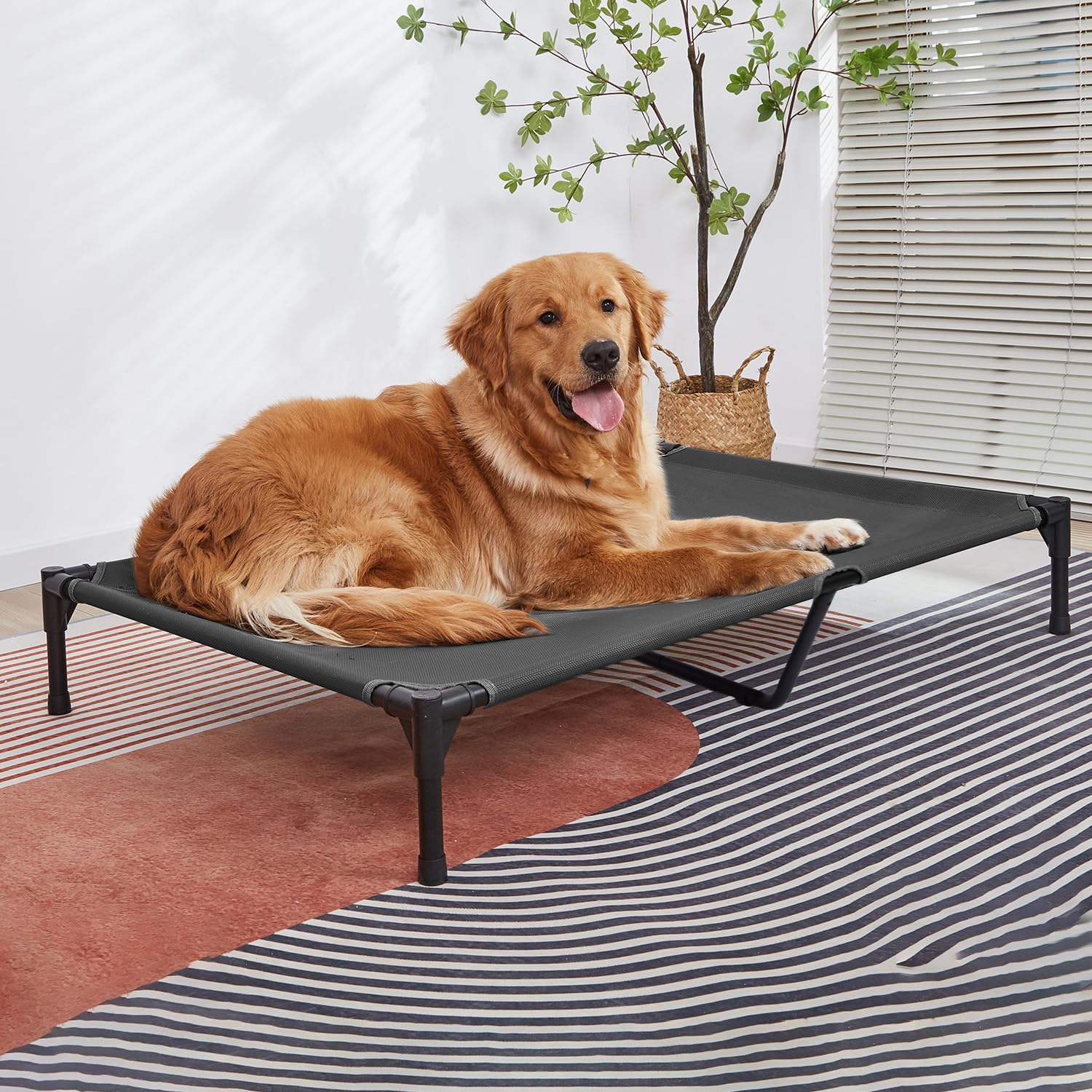 Pettycare elevated bed outdoor use demonstrates versatile use in crate or porch.