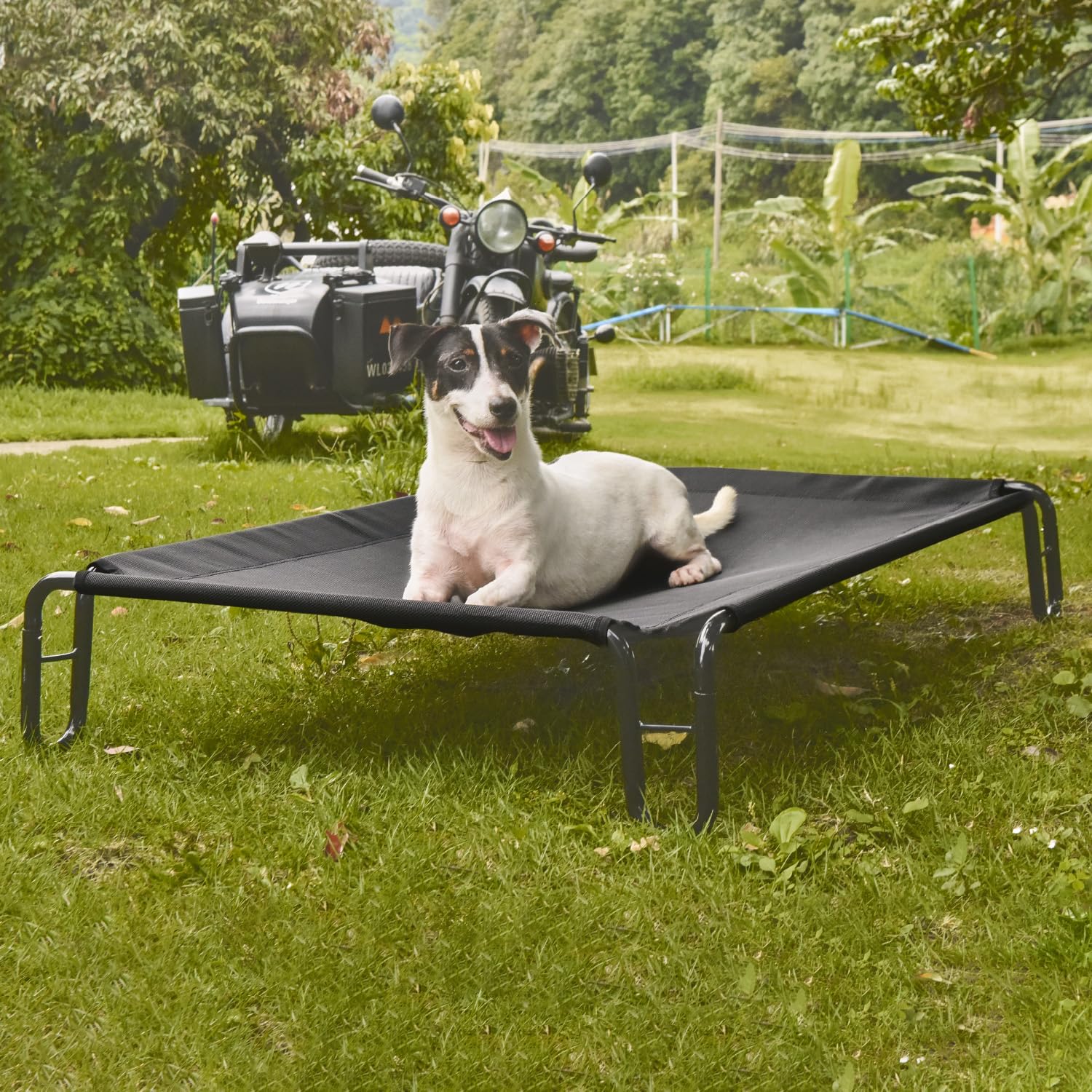 Pettycare elevated bed frame detail shows sturdy powder-coated steel for stability.