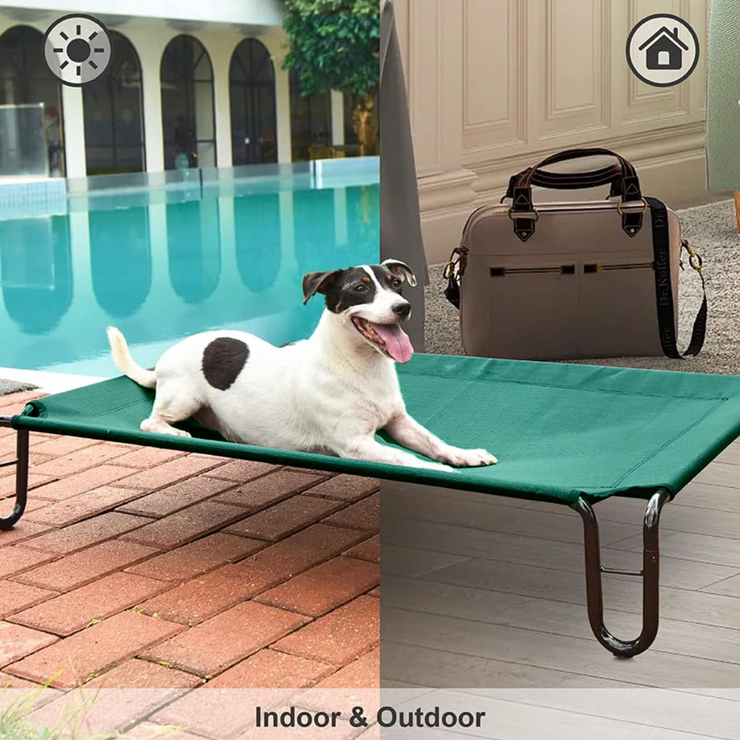 Pettycare portable design supports use indoors or outdoors with ease.