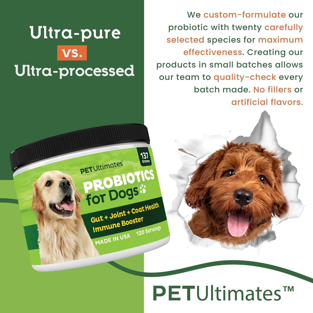 Pet Ultimates Probiotics for Dogs coat shine image showing skin and coat vitality potential.