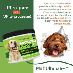 Pet Ultimates Probiotics for Dogs coat shine image showing skin and coat vitality potential.