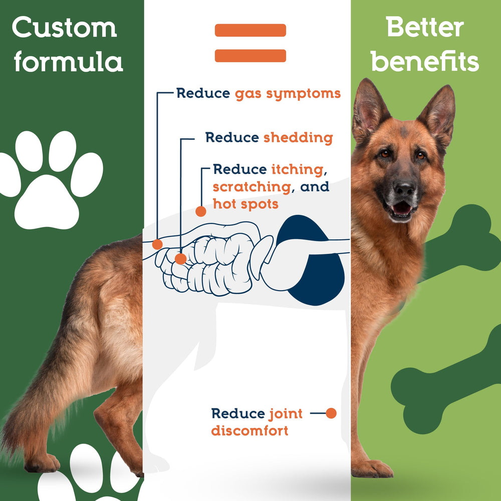 Pet Ultimates Probiotics in dog dish, highlighting easy integration into meals.