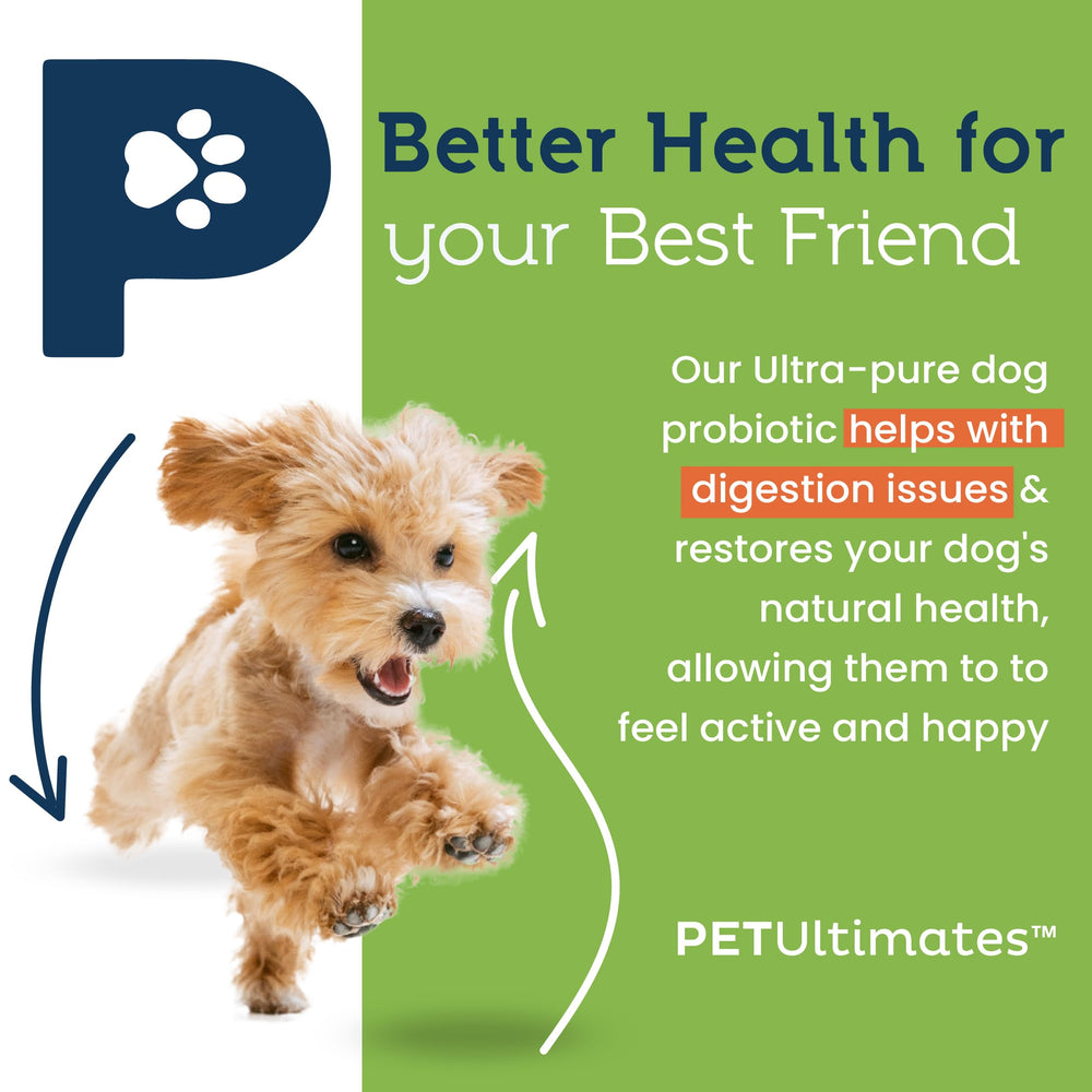 Pet Ultimates Probiotics ingredients list highlights clean inulin base with no fillers.