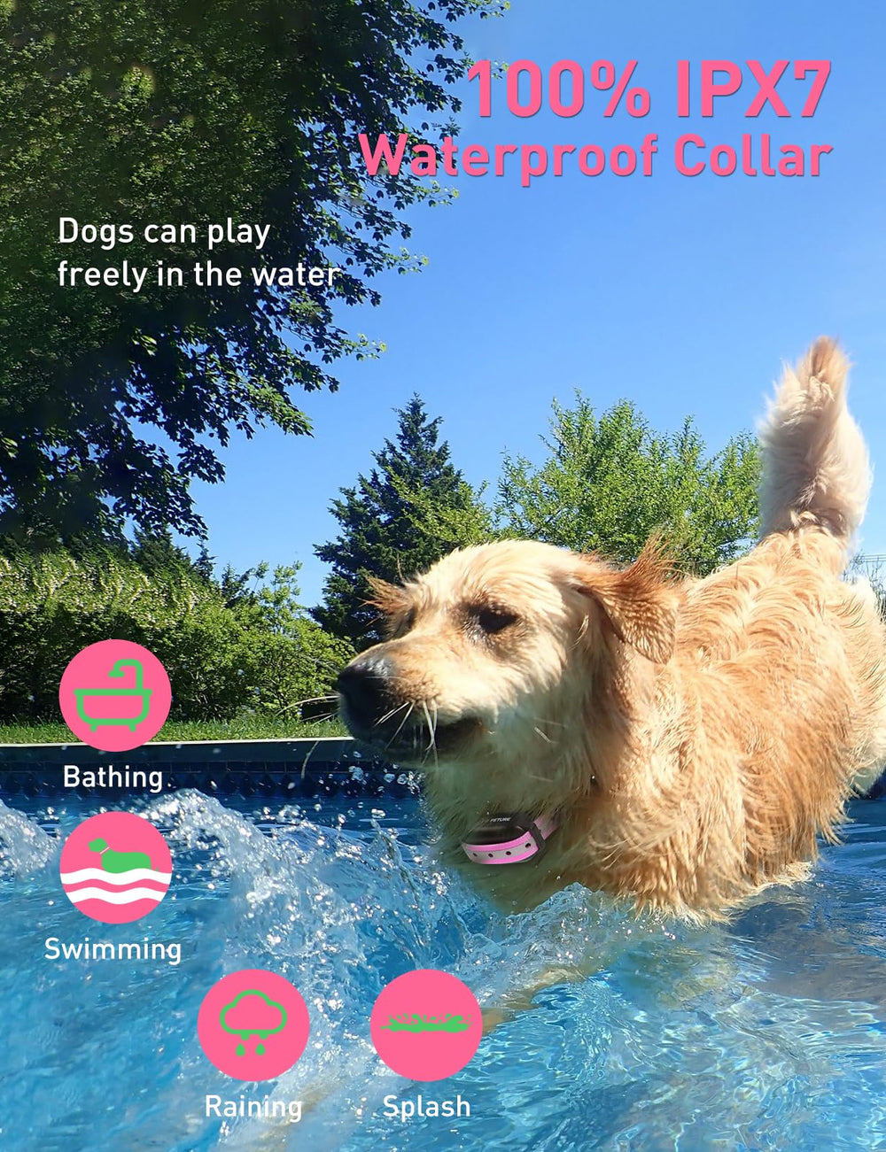 Peture adjustable collar fits 10-120 lb dogs with reflective strap
