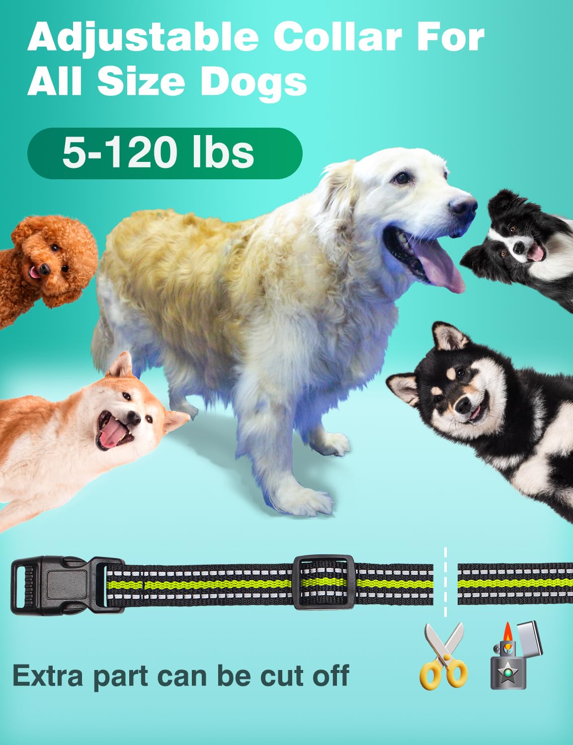 PETURE remote with flashlight aids night walks and locating your dog.