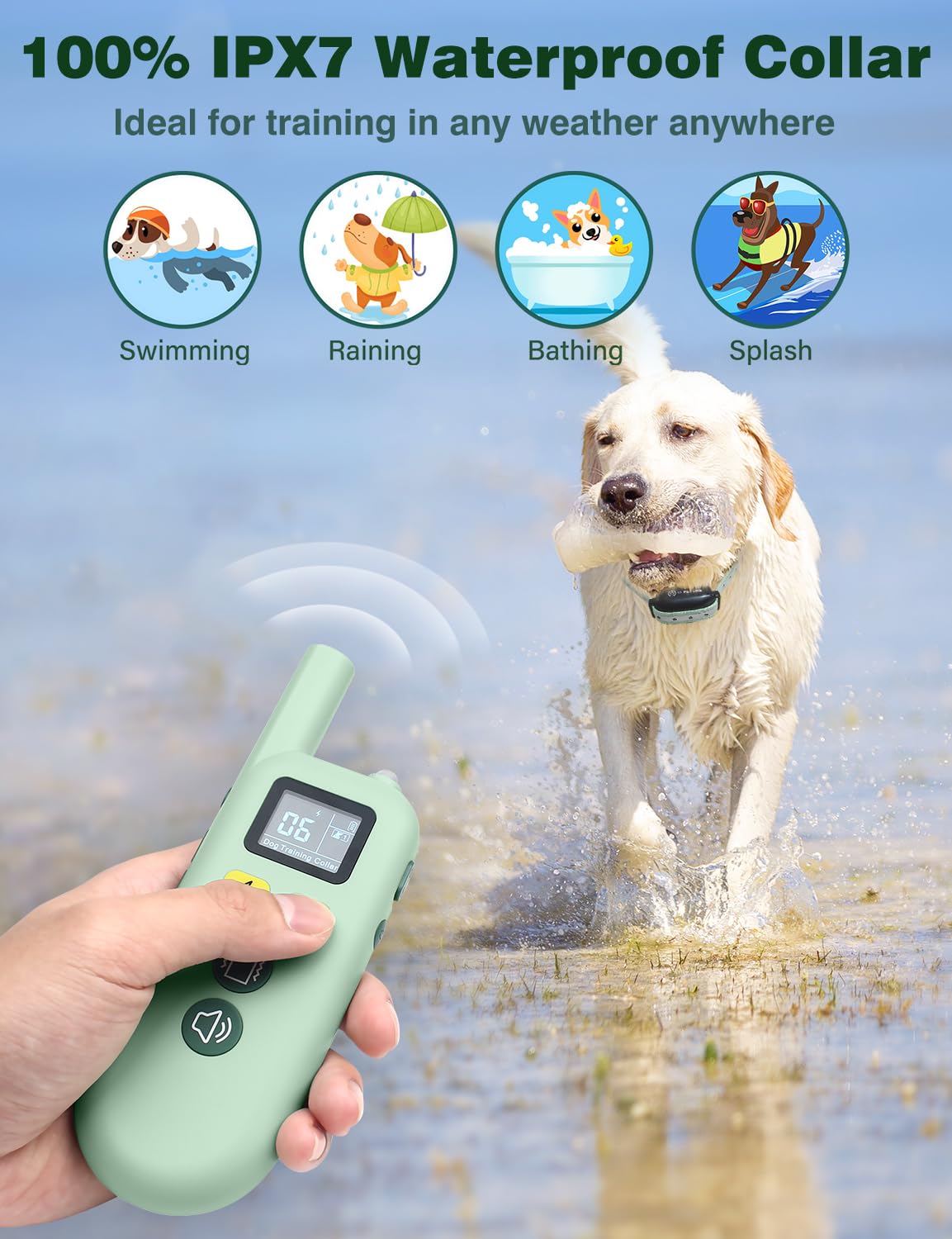 PETURE Dog Collar night flashlight improves visibility during evening walks.