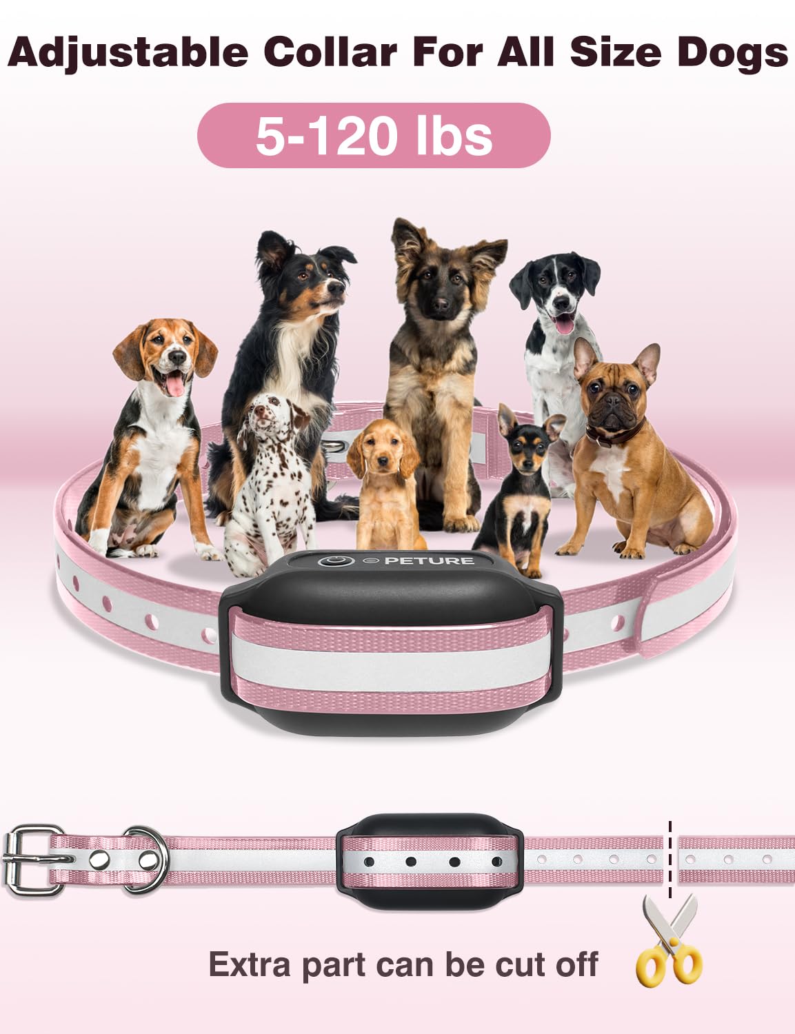 PETURE collar with built-in flashlight for nighttime visibility during training