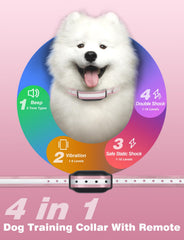 PETURE dog training collar range enabling simultaneous two-dog practice