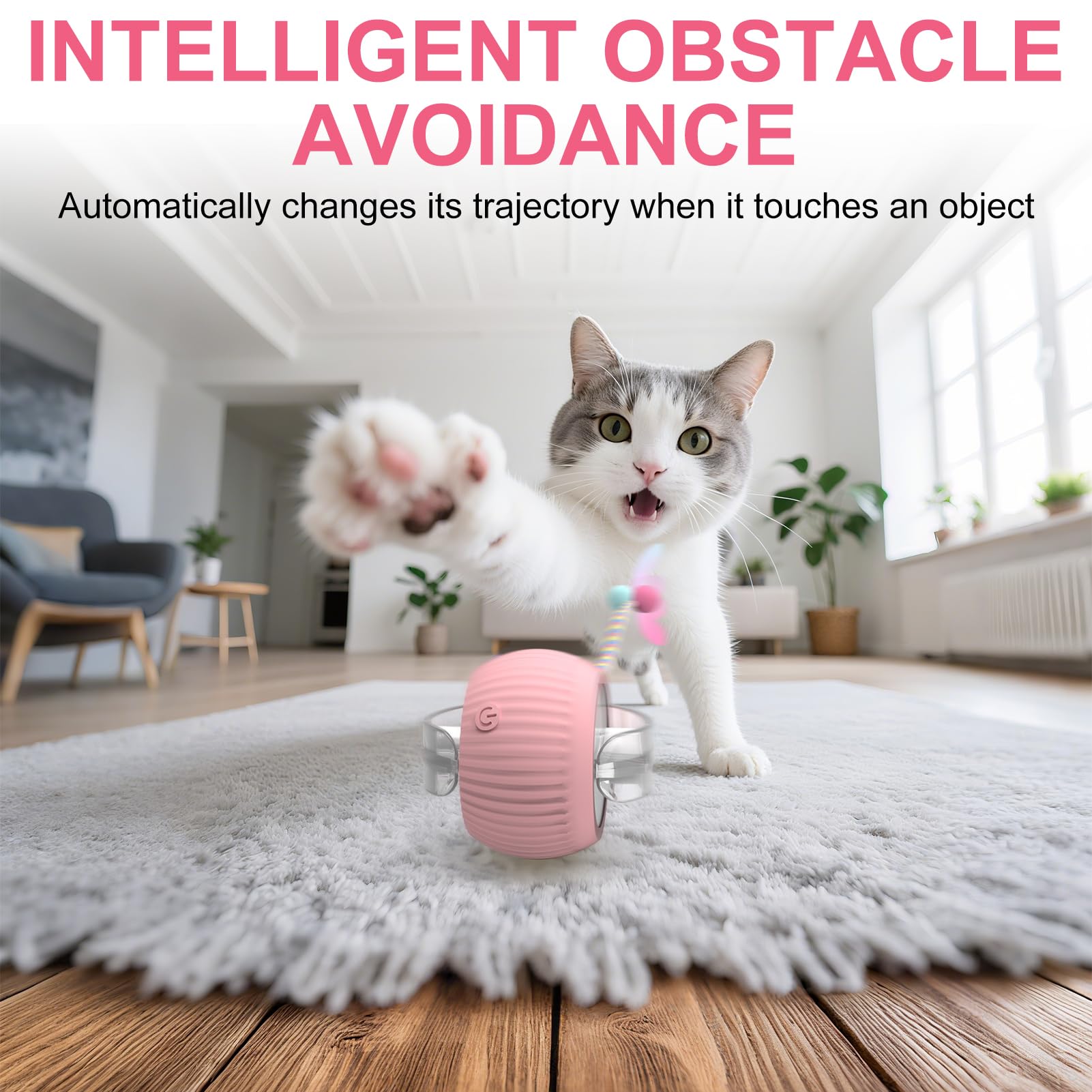 PETVENTURE indoor-play friendly cat ball toy engages cats at home