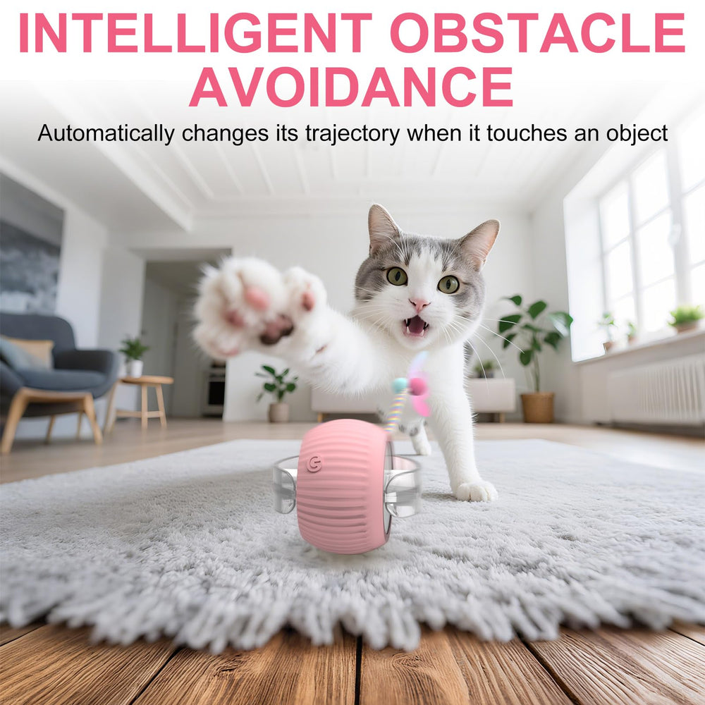 PETVENTURE indoor-play friendly cat ball toy engages cats at home