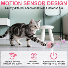 PETVENTURE interactive cat ball toy three modes with blue red yellow lights