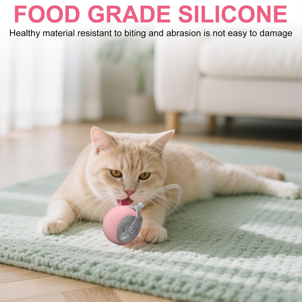 PETVENTURE cat ball toy 2.3-inch size suitable for kittens and adults
