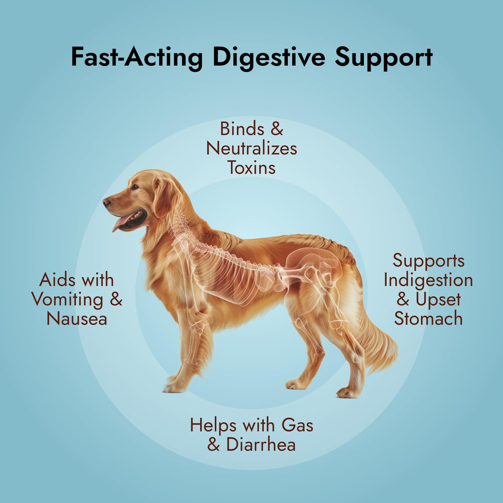 PetVet Medic first-aid kit with dogs and cats supporting digestion