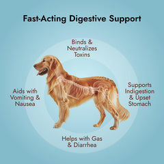 PetVet Medic first-aid kit with dogs and cats supporting digestion