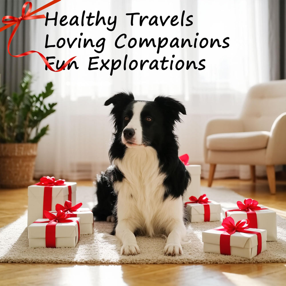 Petvillage versatile stand suits home, camping, and travel feeding scenarios.