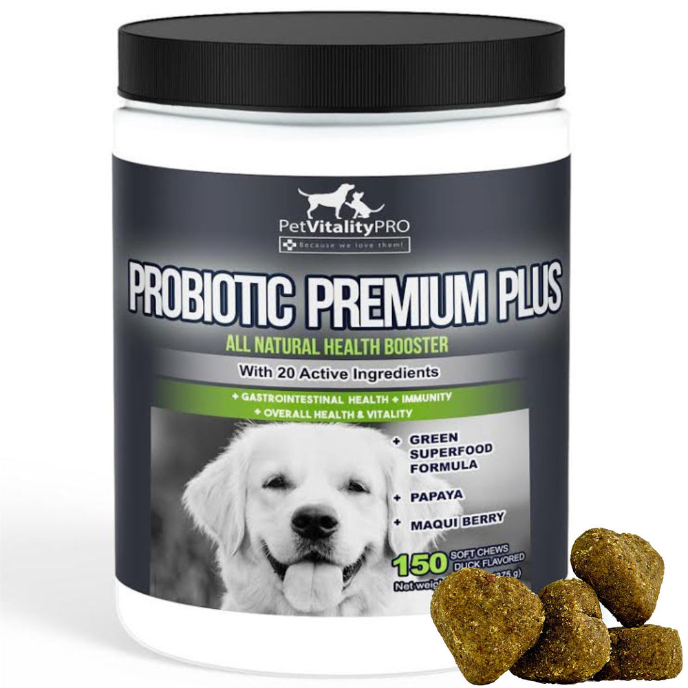 PetVitalityPRO probiotic bottle and chews for dogs promoting gut health and digestion