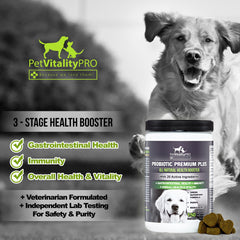PetVitalityPRO canine digestive health image highlighting gut balance and comfort