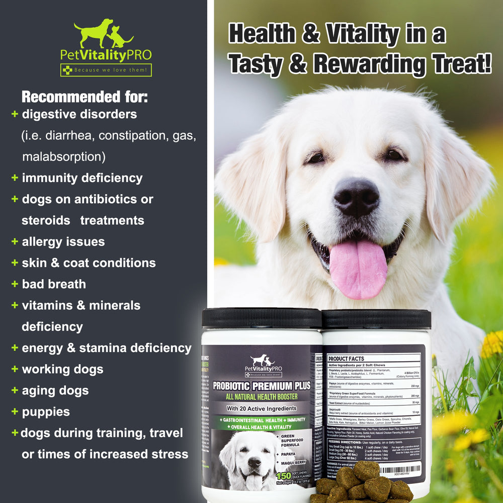 PetVitalityPRO packaging showing 20 ingredients and 4B CFUs for dogs