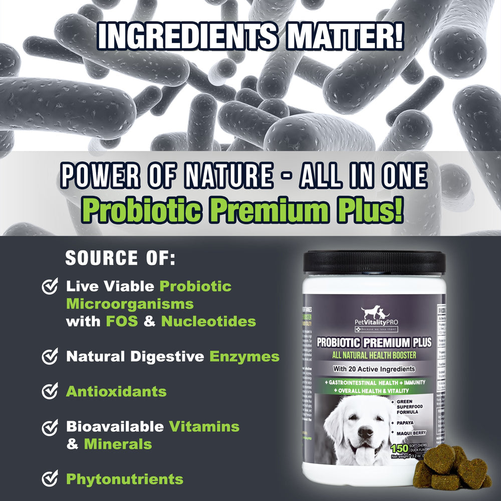 PetVitalityPRO soft chews for dogs in a tasty digestible form