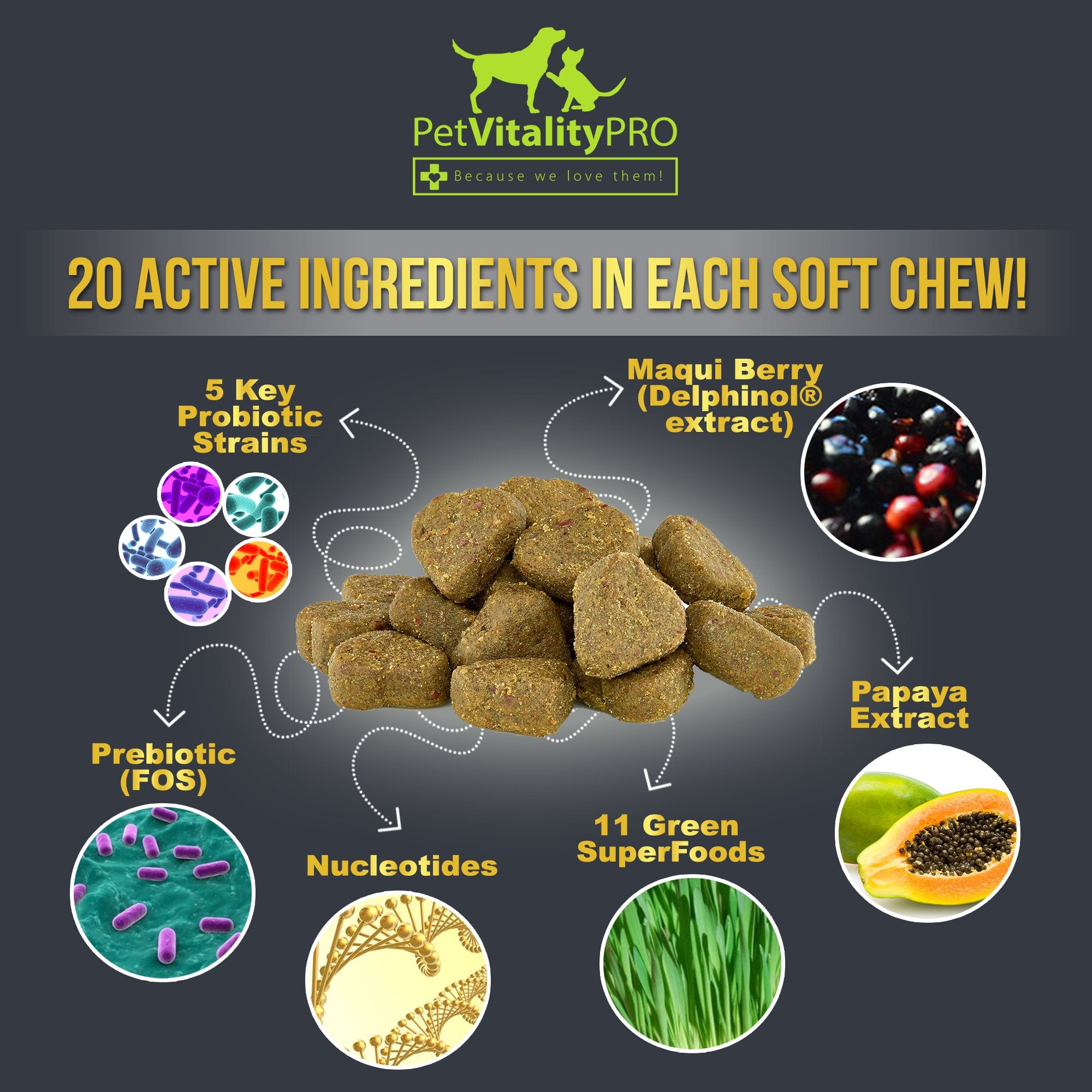 PetVitalityPRO travel probiotics for dogs easing stress during trips