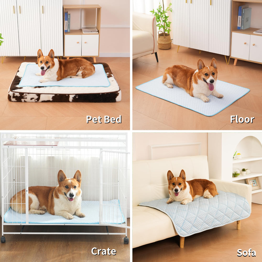 Petvolve cooling mat used across seasons for versatile indoor-outdoor comfort.