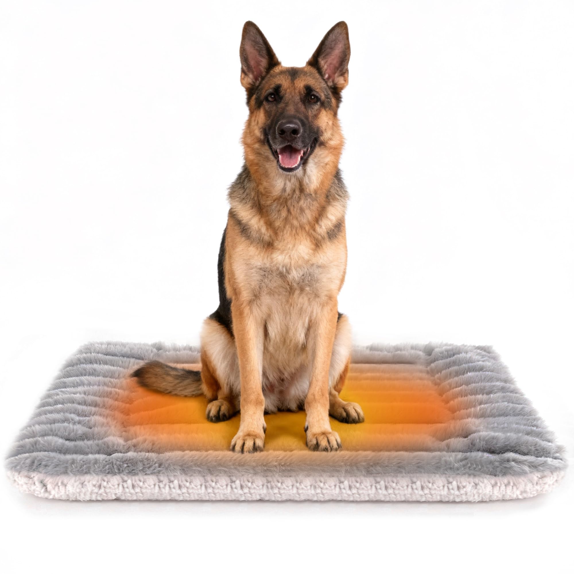 Petvolve self-warming bed front view shows cozy warmth for pets.
