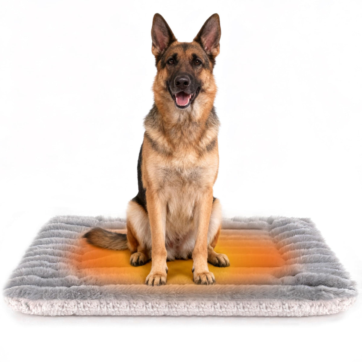 Petvolve self-warming bed front view shows cozy warmth for pets.