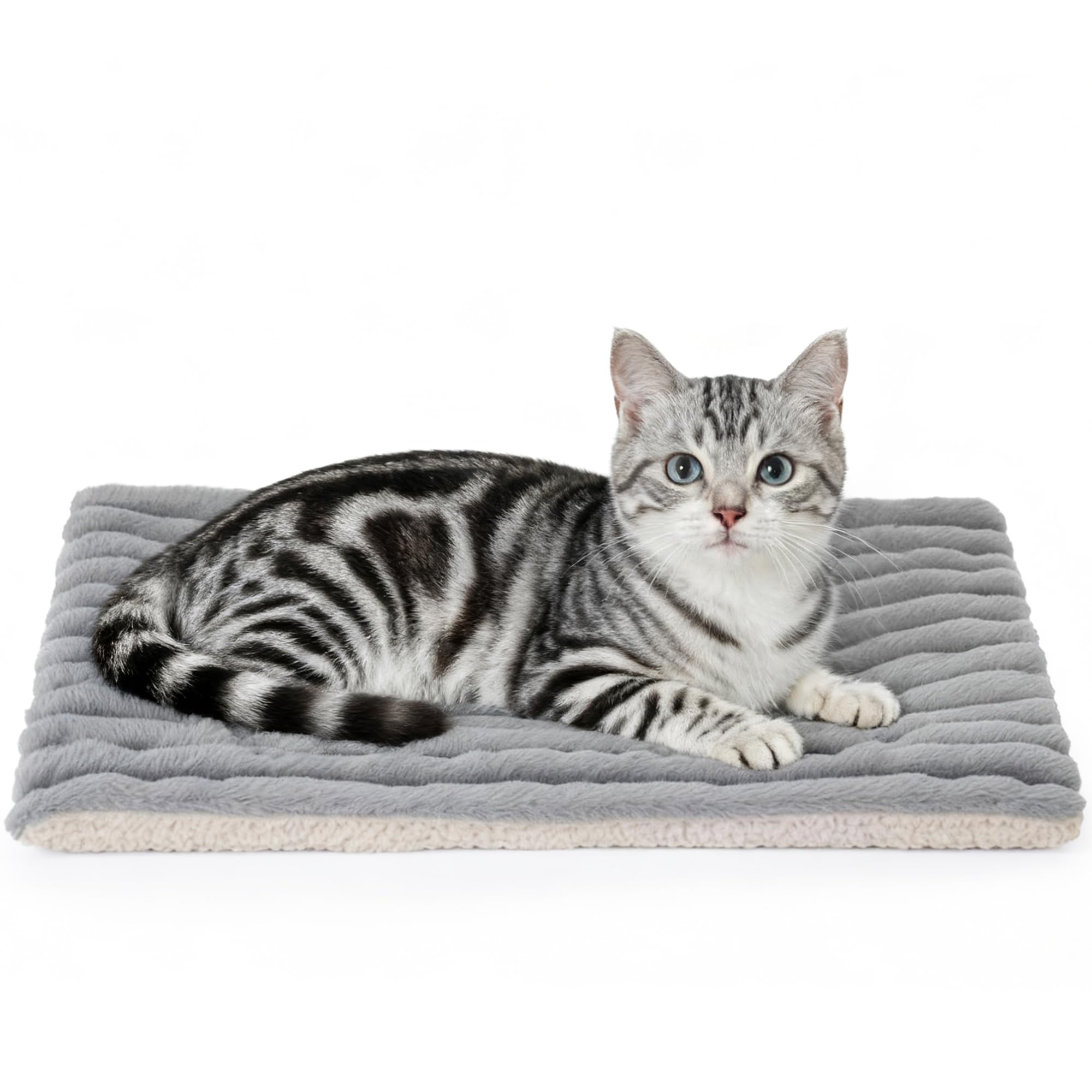 Petvolve self-warming bed two-pack front view shows cozy heat-retaining pads for pets.