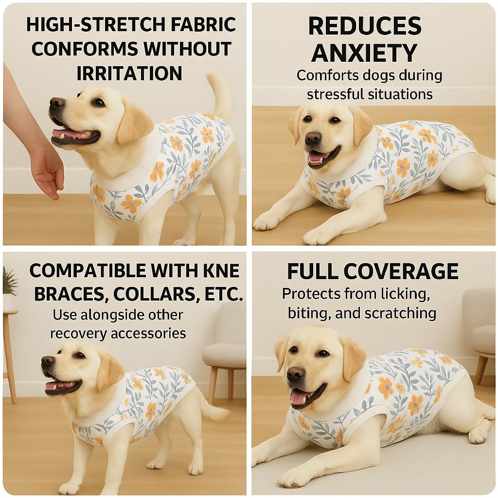 PetWarm abdominal protection helps reduce mess during recovery.