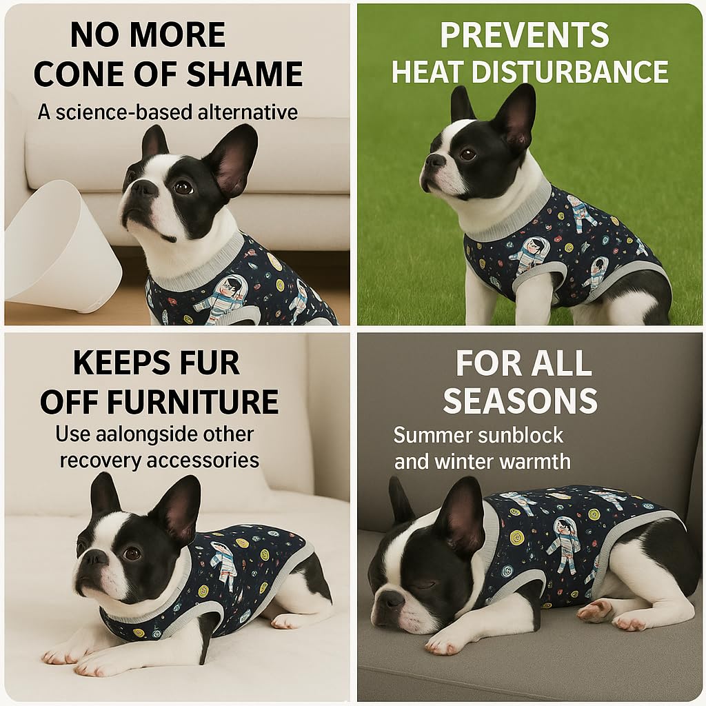 PetWarm all-season recovery clothing keeps dogs comfortable during healing