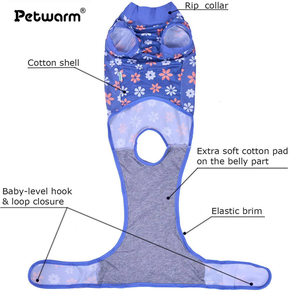 PetWarm dog recovery suit blue flower worn on dog, supports healing and comfort