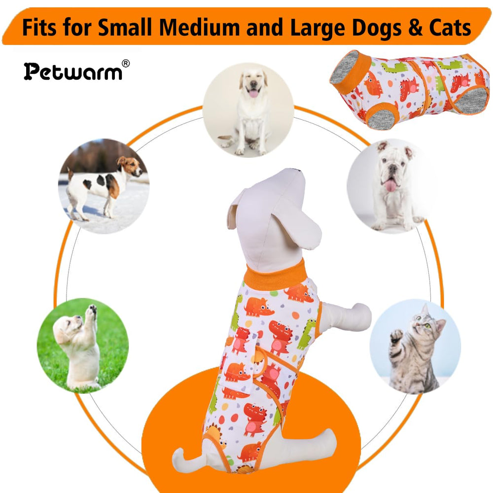 PetWarm seasonal recovery suit keeping dog warm in winter and breathable in spring.