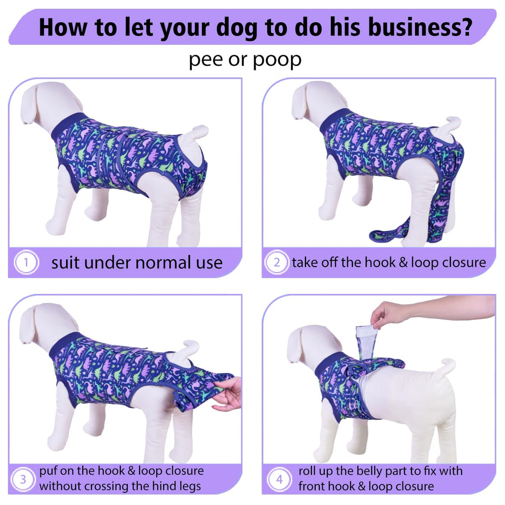 PetWarm dog recovery-suit worn at home shows comfortable everyday wear