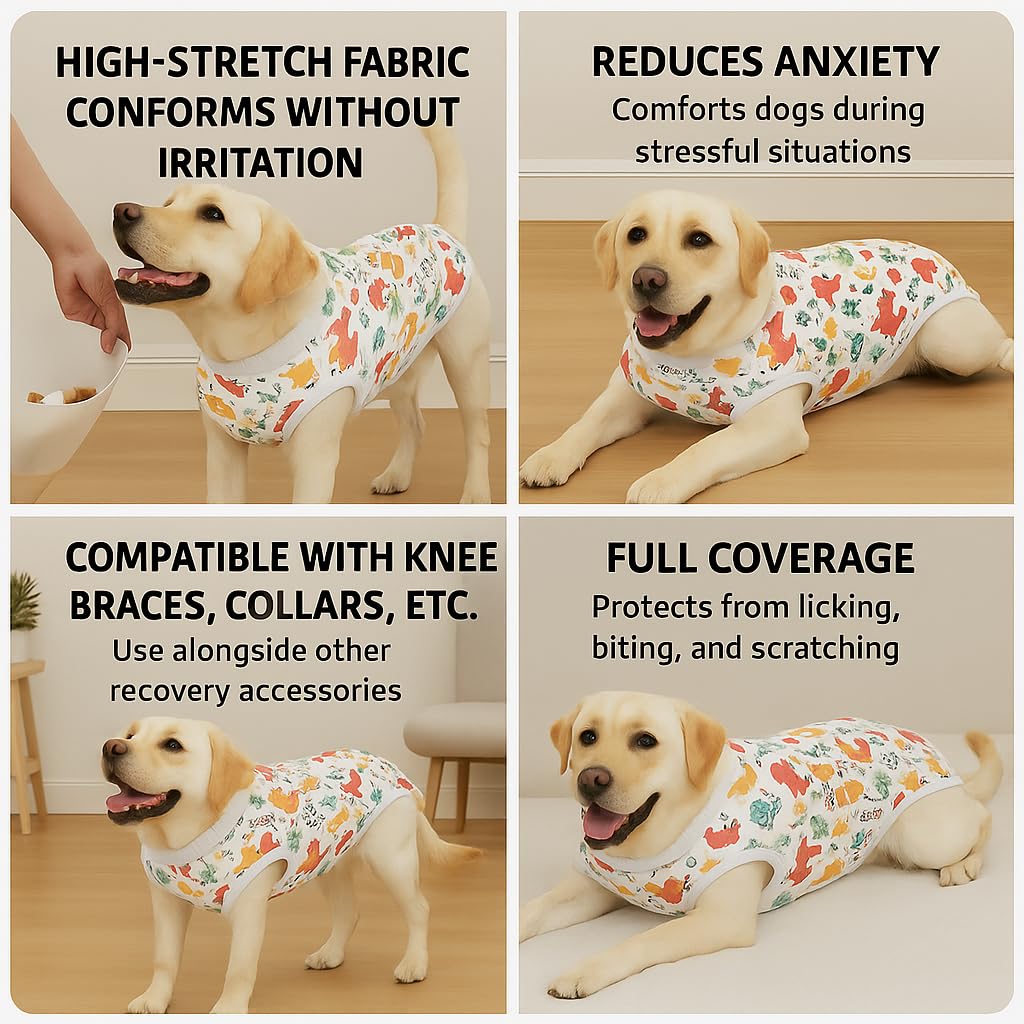 PetWarm dog suit abdomen protection post-surgery guards sensitive areas effectively.