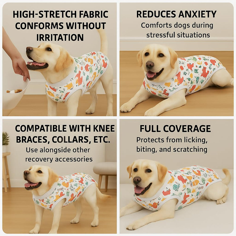 PetWarm dog suit abdomen protection post-surgery guards sensitive areas effectively.