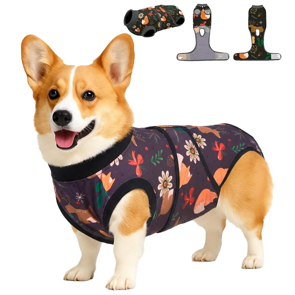 PetWarm dog surgery suit on calm dog showing soft breathable fabric for comfort